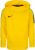 Nike Academy 18 (AJ0109) tour yellow/anthracite